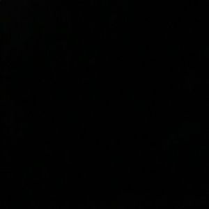 Meet your Posher, Lavonna